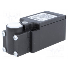 FR 538 Pizzato Elettrica