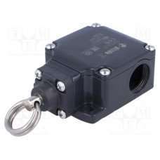 FL 576 Pizzato Elettrica