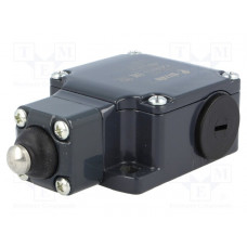FL 510 Pizzato Elettrica
