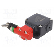 FL 2080 Pizzato Elettrica